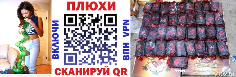 ГАШ Premium  Купить где  Томари 