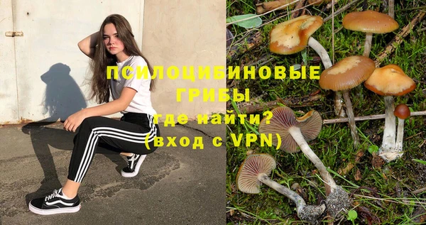 крисы Арсеньев