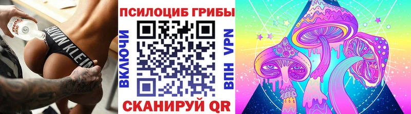Купить закладки  Томари  Псилоцибиновые грибы Psilocybe 